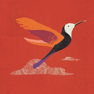 designatoracle's profile picture. 