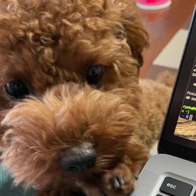 takeinnnn's profile picture. エンジニアとして働いています/プログラミング、犬と猫、J–ROCK好きです/SmartHR/ex iCARE