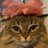 Mad_Phoenix04's profile image