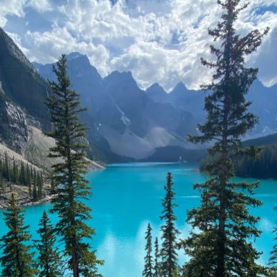 threeputtpigeon's profile picture. Calgary Flames🔥 Celtic FC🍀 If you don’t like pineapple on pizza then you know where the door is.