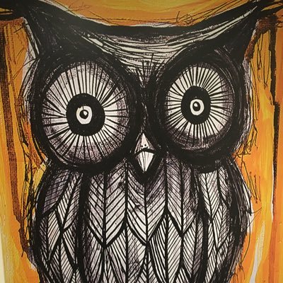 Owl_Culture Profile Picture