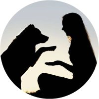 Perras Tuiteras🐾 Barrio Franklin 🇨🇱🐶🐱(@PerrosPlazaHuem) 's Twitter Profile Photo