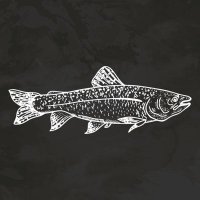 free fish(@fishfree8) 's Twitter Profile Photo