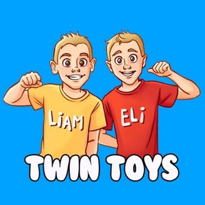 twintoysfam Profile Picture