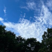 あんこ (@swmryk1293) 's Twitter Profile