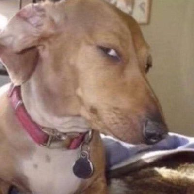 CoolyNet's profile picture. |NY|21|