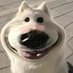 อย่าเข้ามา (@ppgy18) Twitter profile photo อย่าเข้ามา (@ppgy18) Twitter profile photo