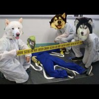 The.Norse.Dogs(@thenorsedogs) 's Twitter Profile Photo