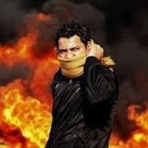 slfr43629432's profile picture. 