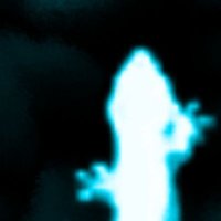 秋梨 (@dx_pe_ge) 's Twitter Profile