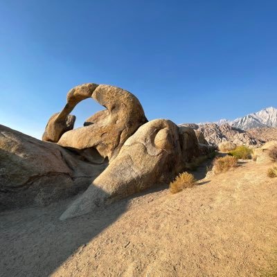 VincentFrankETH's profile picture. 