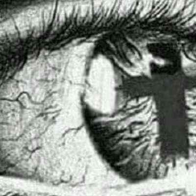 ereynolds636's profile picture. 