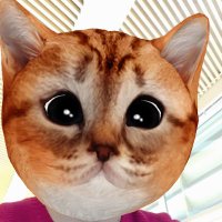 ねこです (@neko_bay_neko) 's Twitter Profile