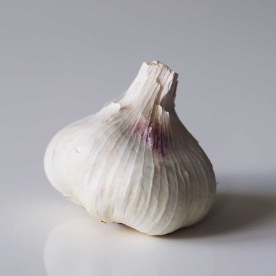 GarlicFartist Profile Picture