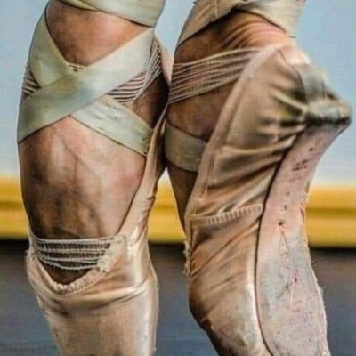 IsaNdg's profile picture. ☮️