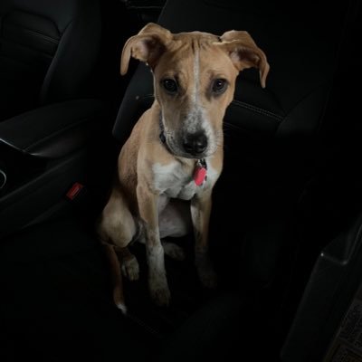 cuhg13's profile picture. 