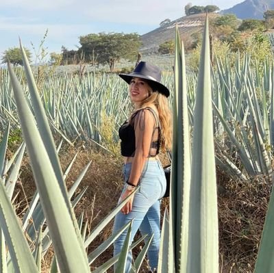 Paceñita 🌵🌊
Virgo girl ✨