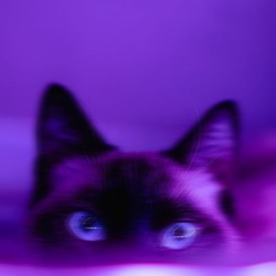 beltanetarott's profile picture. 