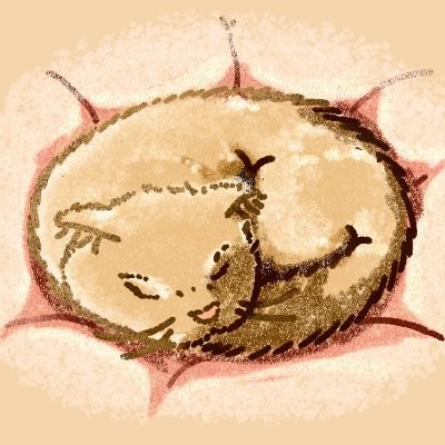 Studio KUCINGさんのプロフィール画像