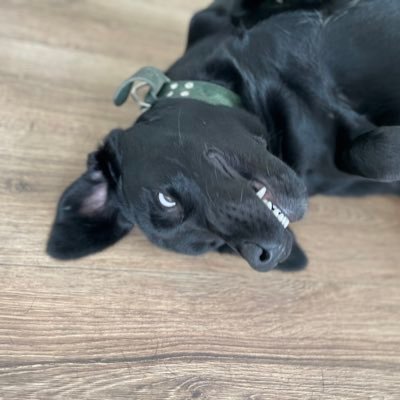 Franky_Io's profile picture. 🥷