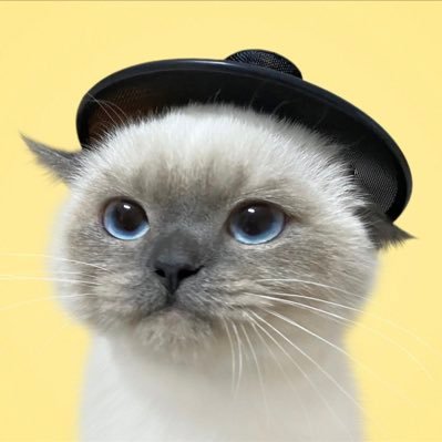 ꜱᴏɴᴀさんのプロフィール画像