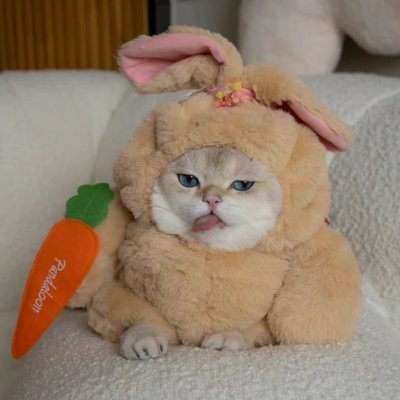 TMM116688's profile picture. 아무도 다른 사람을 읽을 수 없어 모두가 외로워  😔😔😔
