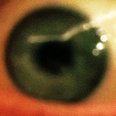 thespammdotcom's profile picture. i just tweet random things and try to start chaos.