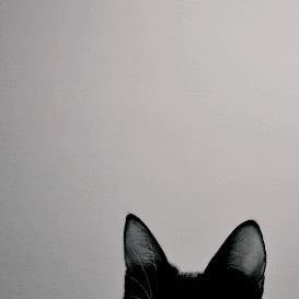 s23377098's profile picture. 