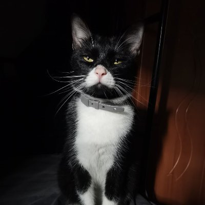 AbataceptRPh's profile picture. RPh 💕