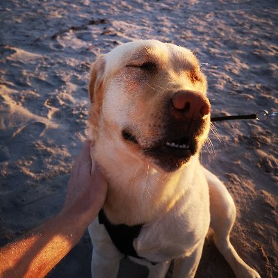 ~~Chipsongs//VGM//Fusion//Metal~~
DM or email vince.zghra@gmail