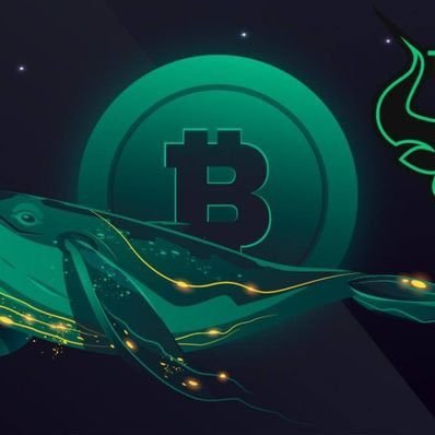 I love crypto $SOL $BTC $ETH $KAS $MATIC $CHNG $RSR $HYPE $BNB