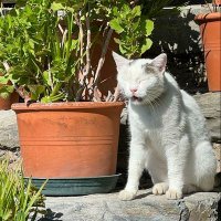 JD Carpentieri (@jdcarpentieri) 's Twitter Profile