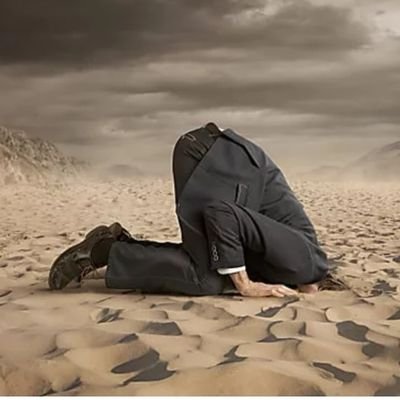 SirousTimy's profile picture. Investing in travel☝️