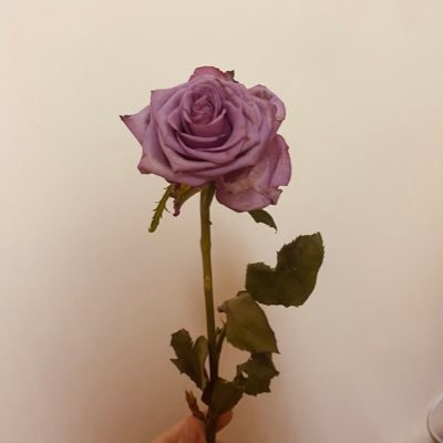 meromeme222's profile picture. الحمد لله دائماً وابداً❤️~