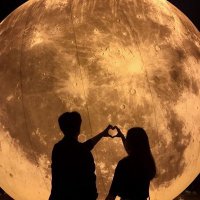 • (@yuelfcommsnr) 's Twitter Profile