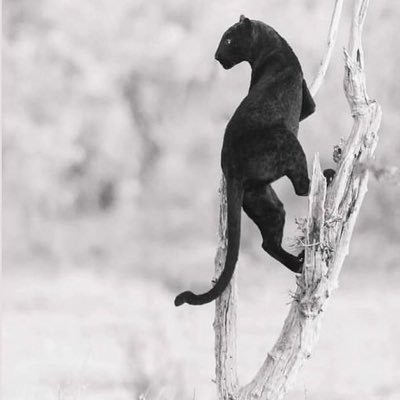ItsMark67856943's profile picture. 