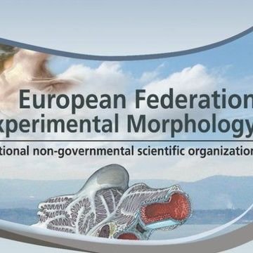 Twitter Account of the European Federation for Experimental Morphology. Tweets by EFEM Social Media Committee https://t.co/ifiDzObb1i