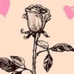 jassk410's profile picture. 