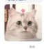 18003072871 (@aa2338744745) Twitter profile photo 18003072871 (@aa2338744745) Twitter profile photo