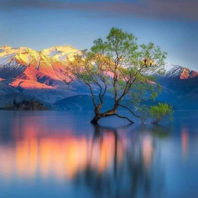 Defallah__'s profile picture. Que dire ?