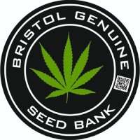 BristolGenuineSeedbank (@bristolseedbank) 's Twitter Profile
