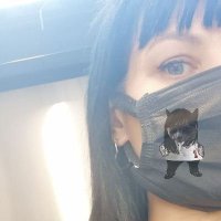 Oriannalyla 🇺🇦(@Lyla_lilas) 's Twitter Profile Photo Oriannalyla 🇺🇦(@Lyla_lilas) 's Twitter Profile Photo