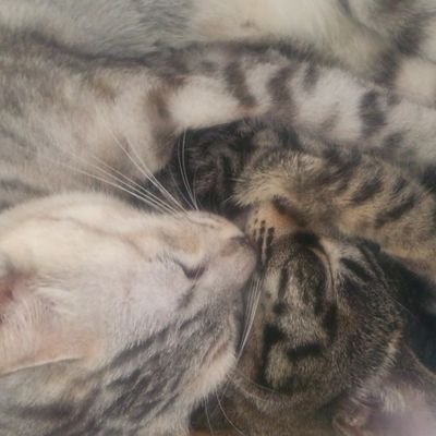 SYmgR4j4wk2V9SB's profile picture. マイペースだけど想いは熱く応援📣チャミンも大好きなゆのペン❦とにかく二人が好きで東方神起のステージが大大好きな11年目のビギストです。