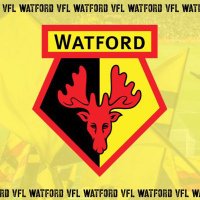 Carlsile (@vfl_watford_s53) 's Twitter Profile