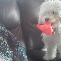 areyoukiddingme (@ryck_nancy) 's Twitter Profile