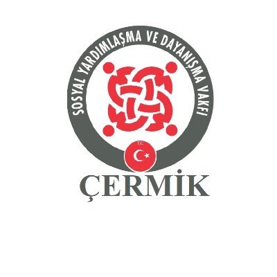 CermikSYDV Profile Picture
