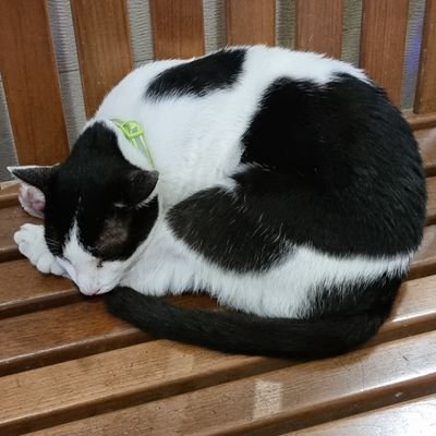 GodMojiさんのプロフィール画像