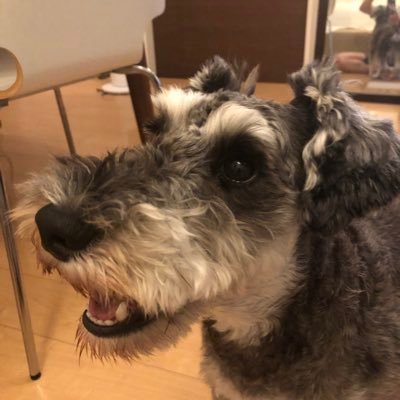 fenrir_yosys's profile picture. 最近、週末だけは頑張って料理するようにしてます。悪戦苦闘の痕跡でも残そうかと。