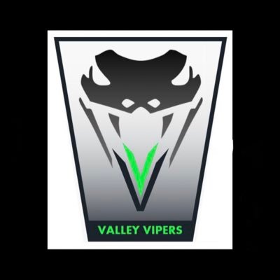 vipers_valley's profile picture. Vets touch rugby team~Wellbeing