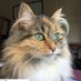 Douine Marie-Chantal (@douinechantal) Twitter profile photo Douine Marie-Chantal (@douinechantal) Twitter profile photo